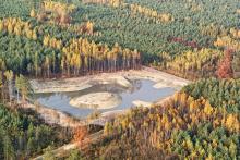 Ile wody zatrzymują lasy nadleśnictwa Mielec