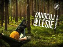 Program „Zanocuj w lesie” rusza od 1 maja!