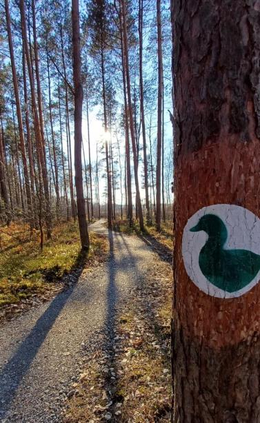 Ścieżka „Cyraneczka” hucznie otwarta!